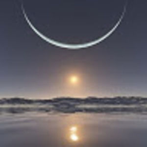 Meet your Posher, Pauline